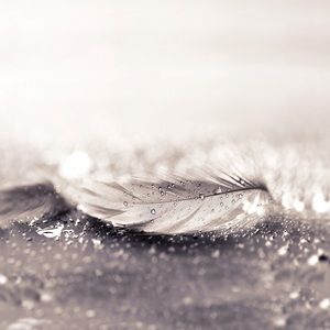 Meet your Posher, Annabelle